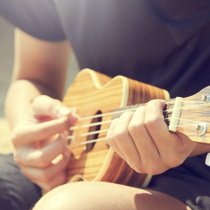 P.Uke - Punk Ukulele for Beginners - Deepdale Festival | 22nd to 25th September 2022 - The Good Earth Collective will be running this workshop. Bring your own ukulele or borrow one of the bands.
